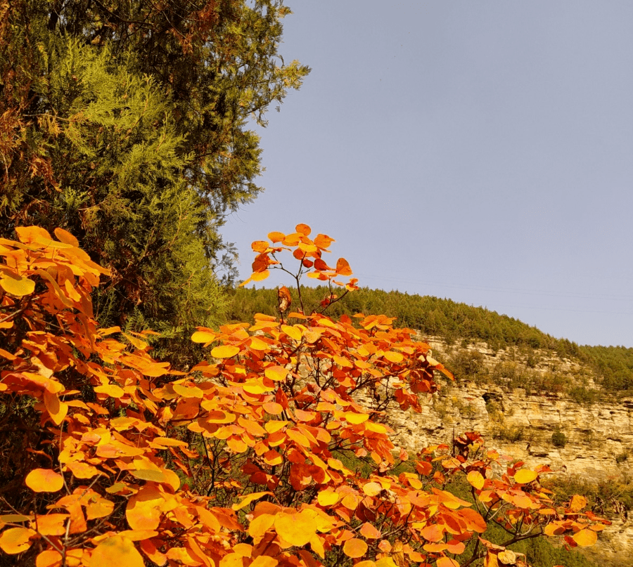 秋游济南秘境佛峪大峡谷 秋游济南秘境佛峪大峡谷