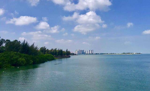 海南岛的gdp_中国gdp增长图(3)