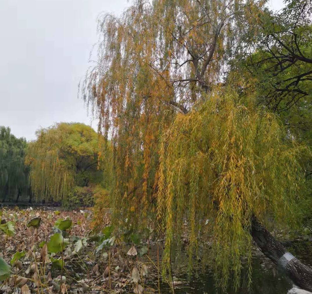 学费|被学费劝退！这些专业的学费真的是太贵了！