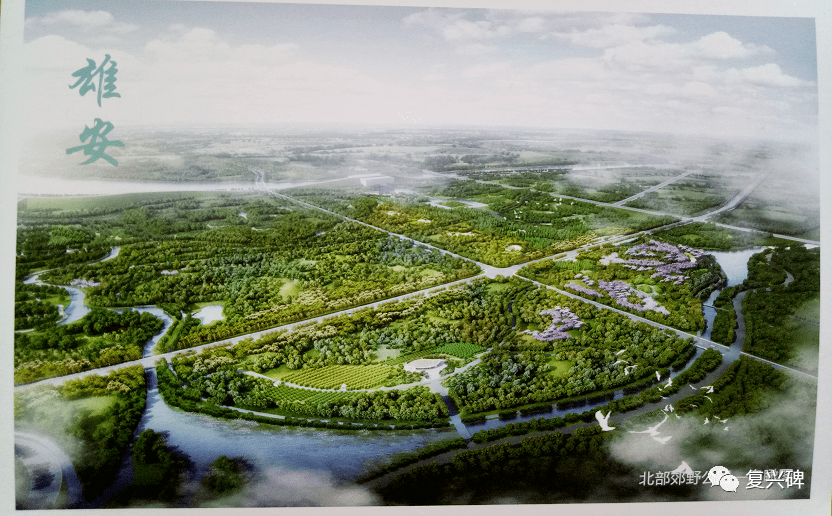 多图,雄安北部郊野公园将这样建