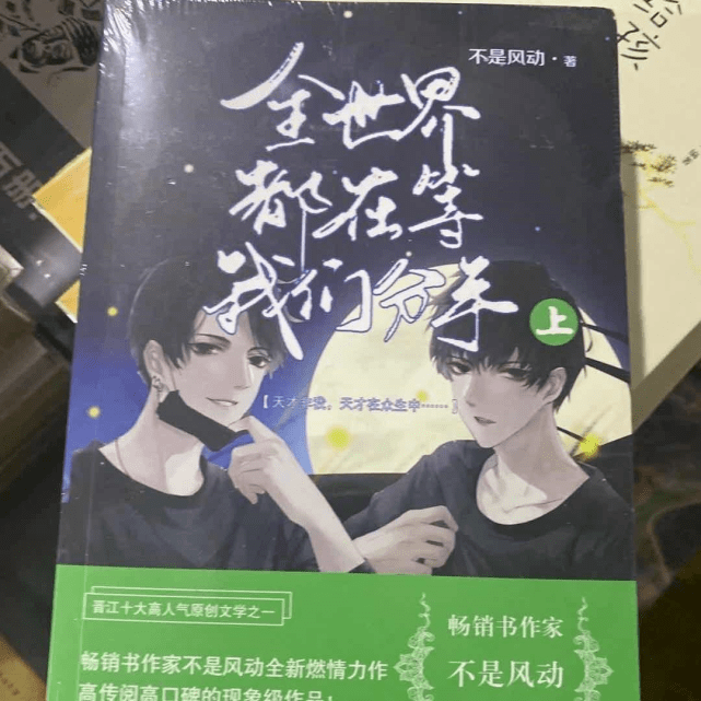 原创《伪装学渣》:贺朝与谢俞实在是太出名了,到处客串书的封面