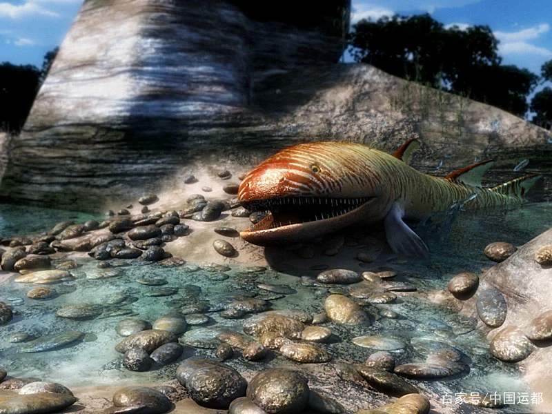 【威海运都☆海识 史前鱼_海洋生物