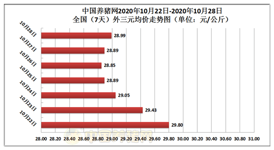 5703bcad527d4dd490bae5427582d12a.png
