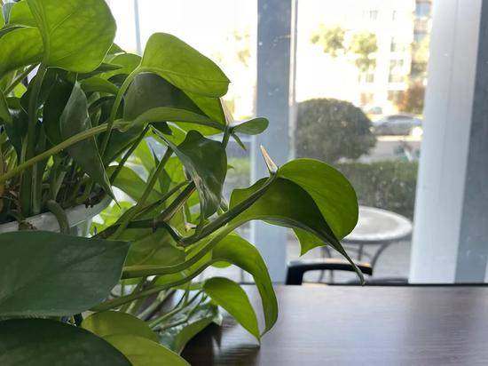 iPhone|iPhone 12体验：除了性价比和 5G还有什么？