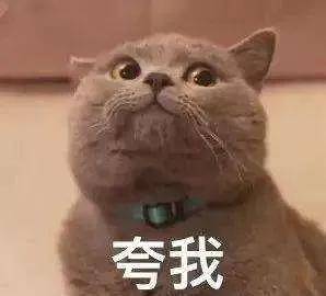 手术|杨幂关晓彤杠上了？撞衫尴尬就算了，还被网友喷做了直腿手术…