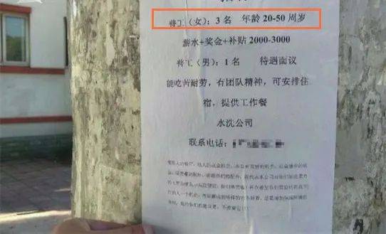 打工人的一生:25岁内卷,35岁被裁,45岁禁止卖菜