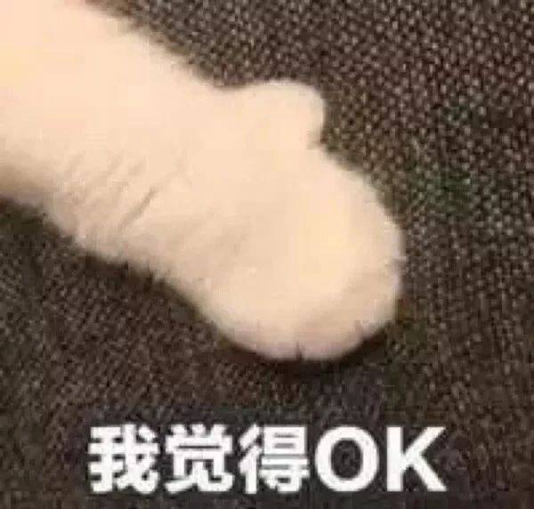 热门表情包图片:你说我真的很快乐,ok,我不敢有意见