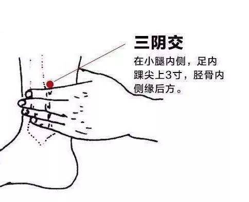 补脾生血让手脚暖起来