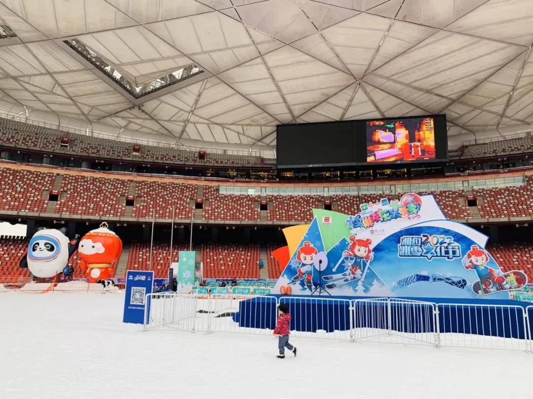 燃情冰雪 助力冬奥 | 以艺术视角,邂逅一场冰雪奇缘 2020鸟巢杯火热