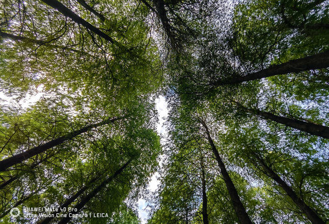 Mate|华为Mate40 Pro深度评测：全能实力问鼎年度旗舰