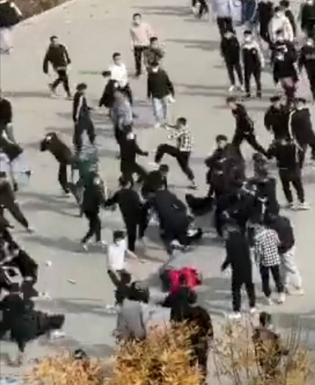 滨州职业学院数十名学生持长棍在校园里打群架,出手