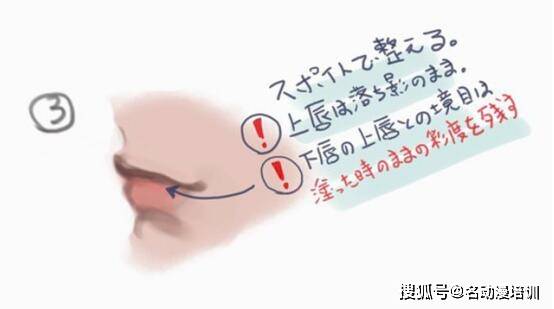 嘴唇|sai新手向厚涂教程
