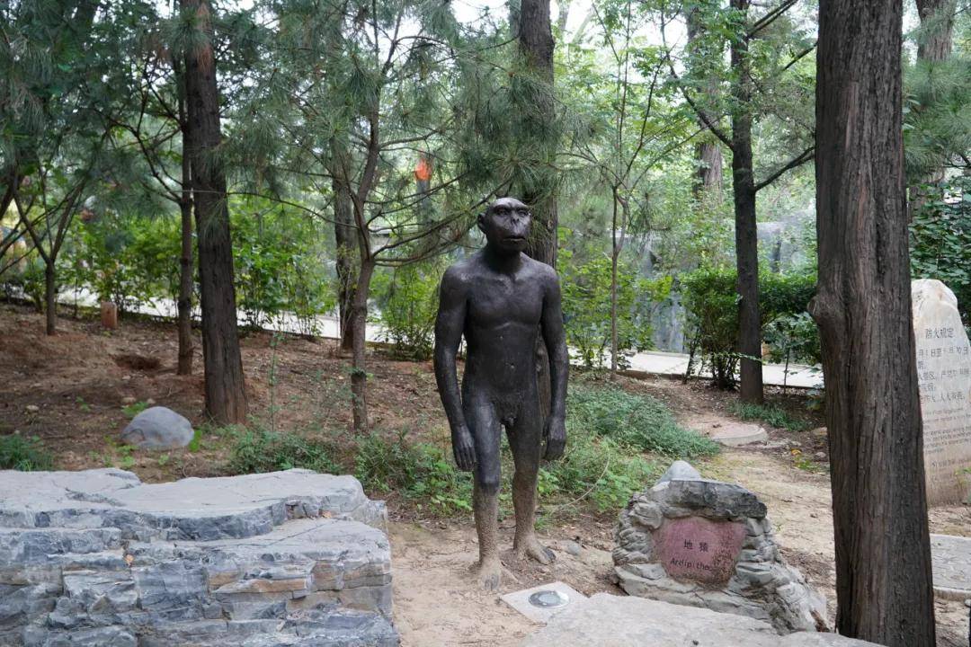 头盖骨|北京西南郊小山包 为何成为世界文化遗产