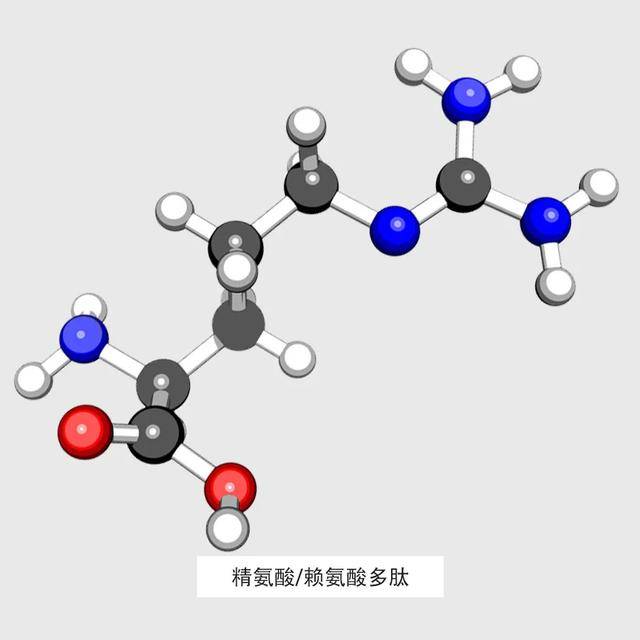 精氨酸/赖氨酸多肽two4)天然的细胞激活剂3)舒缓肌肤,改善泛红;2)锁水