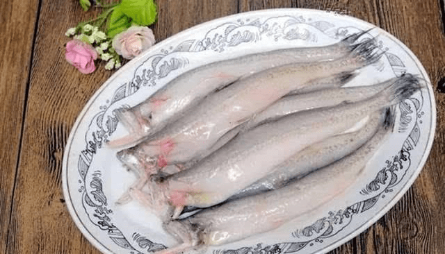 4种"不起眼"的廉价海鱼,既便宜又好吃,渔民:全吃过的是吃货