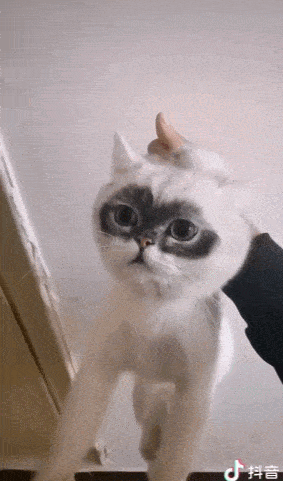 搞笑动态图: 女孩每天狂奔踩点上班被老板拍下