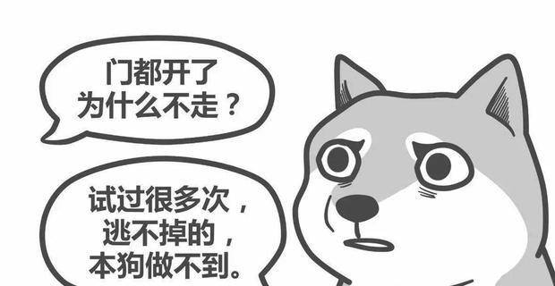 a85dd9690a554cce94c3651d5201a7a9.jpeg
