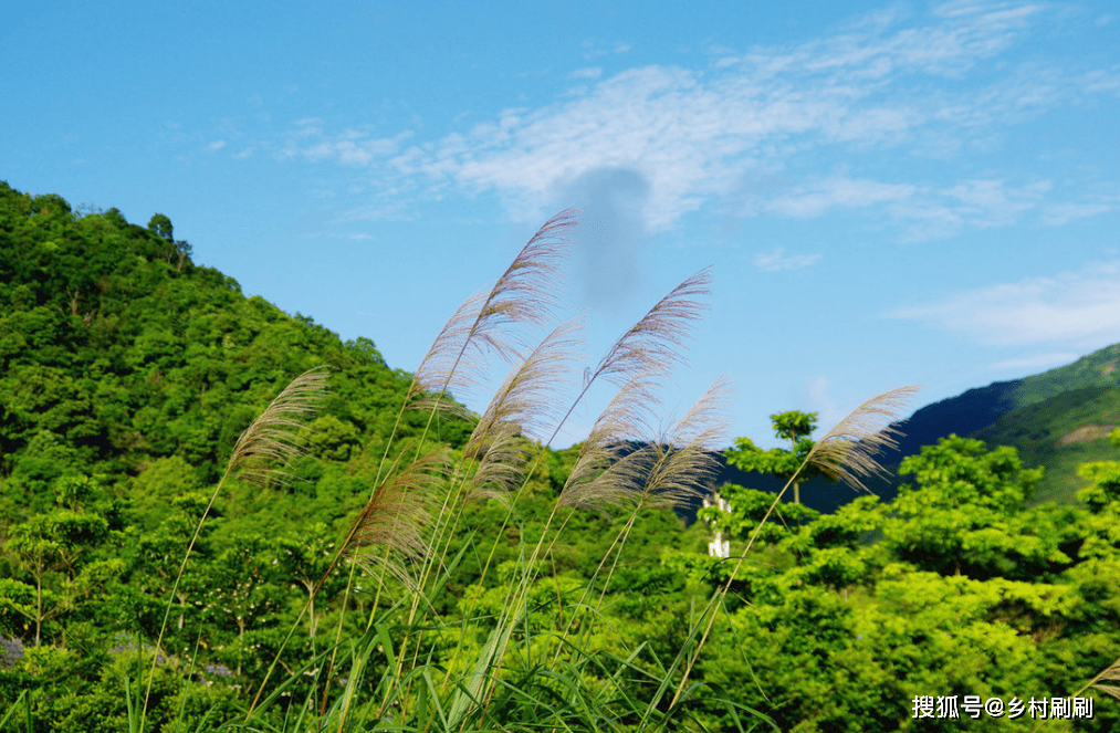 十万大山内部人口_十万大山