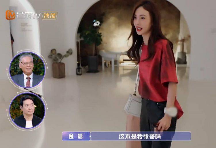 金晨与张继科约会,搞笑又尴尬,张妈妈一句话亮了
