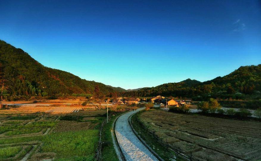 周至县gdp2020年_周至县2021年何建