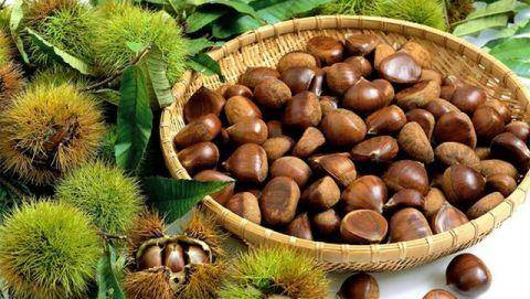 板栗的好处与坏处 54201ebfab0a4151b8bc909f1f66d5f7.jpeg