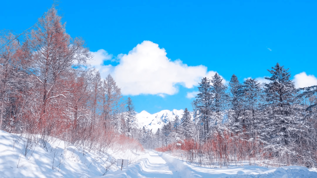 原创冬天别轻易去东北我怕你被这些赏雪地迷住乐不思蜀