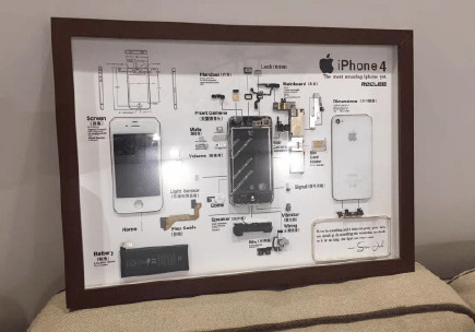 iphone做成标本很新鲜?那是因为你没见过别的神奇标本