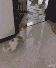 bbs论坛gif做完 girl,bbs论坛gif做完 欧美 你的 girl 是不是被你赶走了?你是不是ikeep saying no?