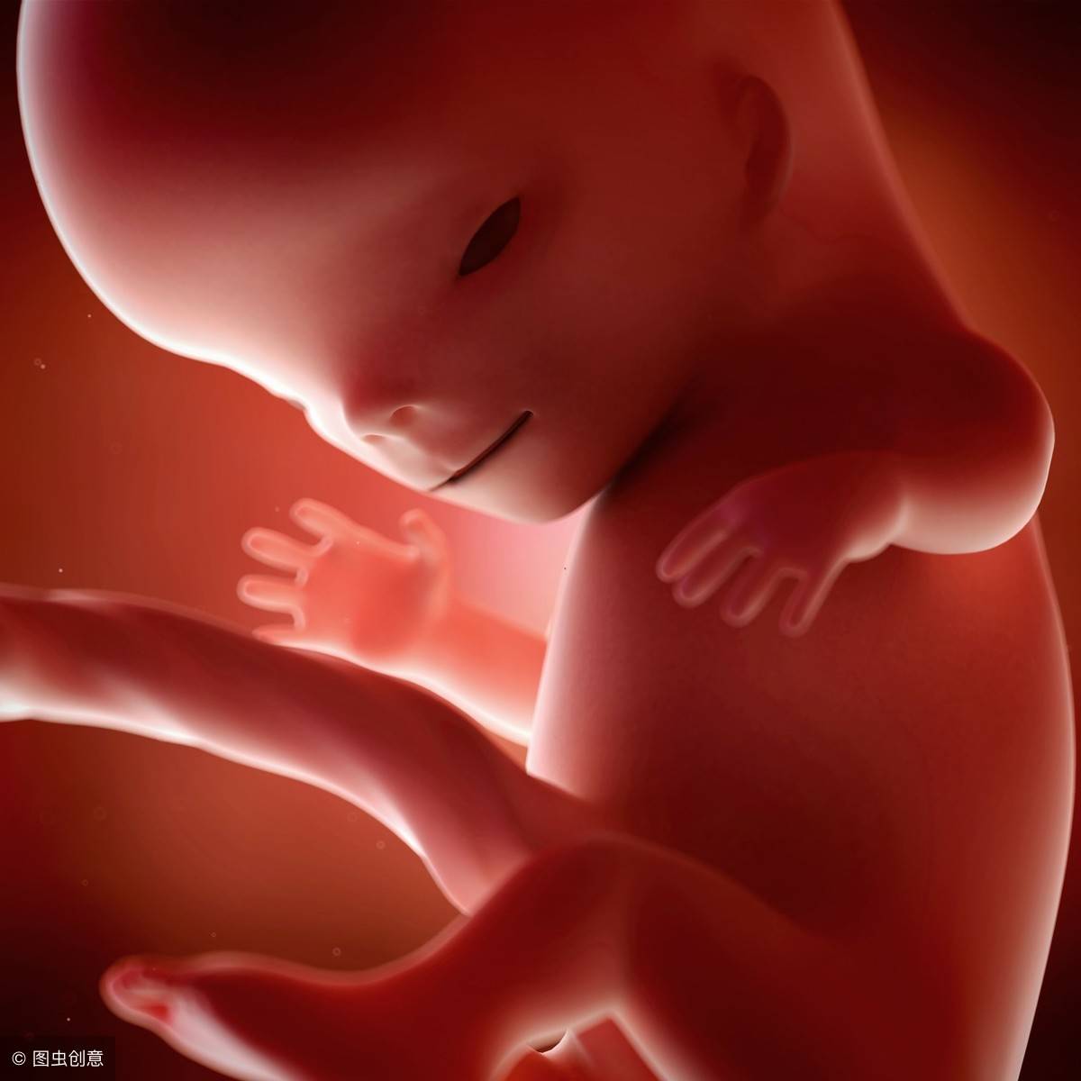 胎儿在子宫里长什么样?胎儿1-40周胎儿发育全过程,妈妈真伟大
