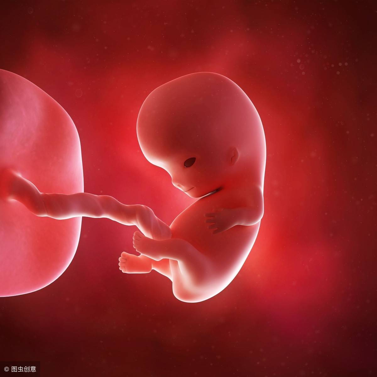 怀孕40周胎儿发育过程，注意事项和饮食营养！ - 哔哩哔哩