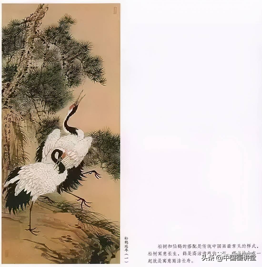 松鹤画法集锦(学仙鹤的绝佳素材!)_丹顶鹤