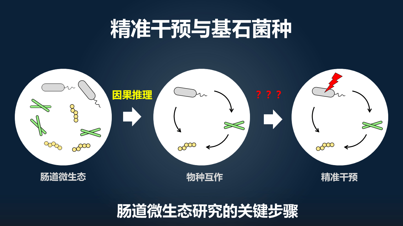 朱瑞新|朱瑞新：12分钟讲透如何迈向因果并精准干预菌群