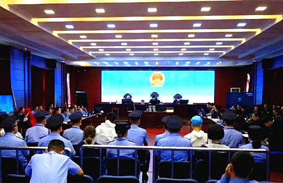 双城一黑社会组织在阿城一审宣判涉案100余人