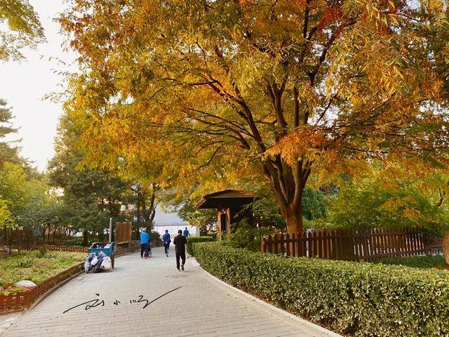 北京市区唯一的日式公园，门票只要2毛钱，游客：何不干脆免费？_生活