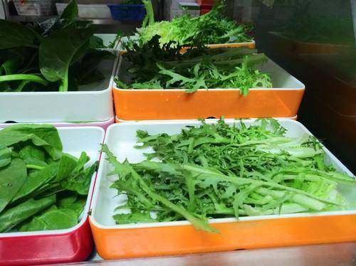 绿叶蔬菜都含有草酸吗 5ff582bc5cf54ad884a498f14126a981.jpeg