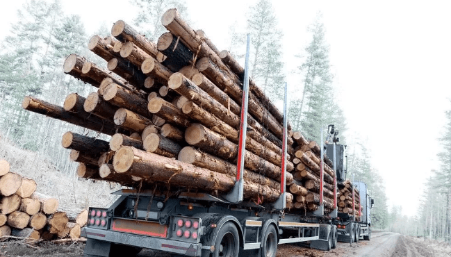 芬兰gdp总量_芬兰极光图片