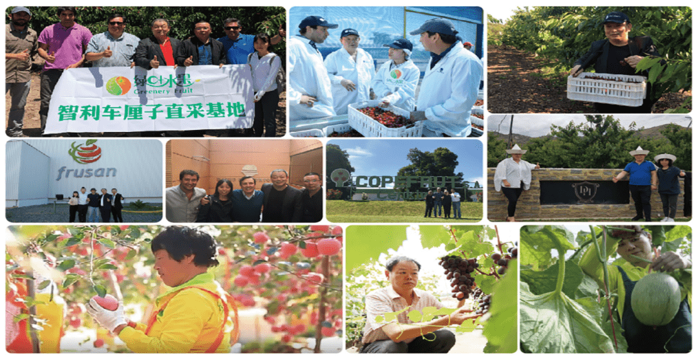 湖北水果加盟店排行榜_2018中国水果连锁企业排行榜TOP20公布!百果园稳居第一!