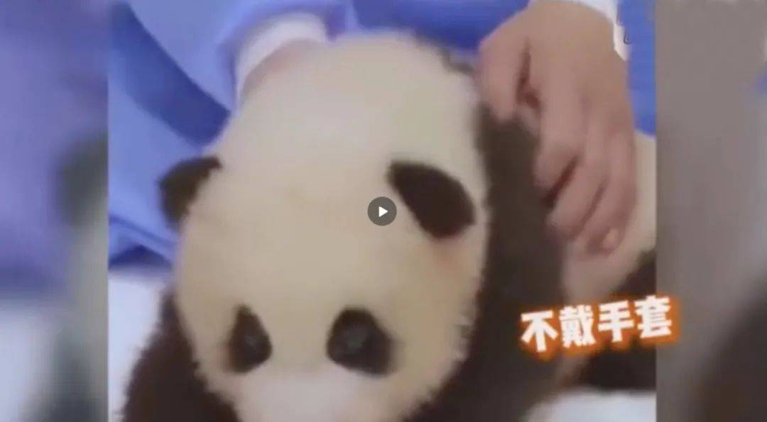 熊猫人口罩_熊猫人表情包戴口罩