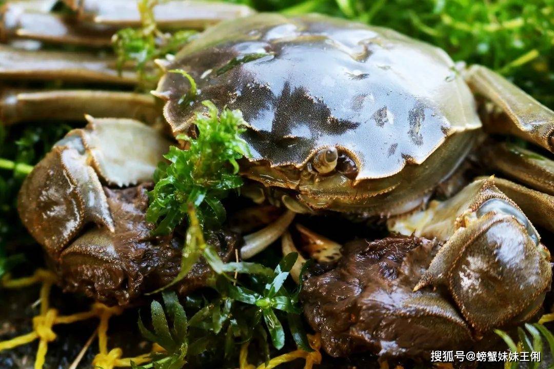 动态心电图做一个多少钱 5c55b4a6007e454abb85abb897036c58.jpeg