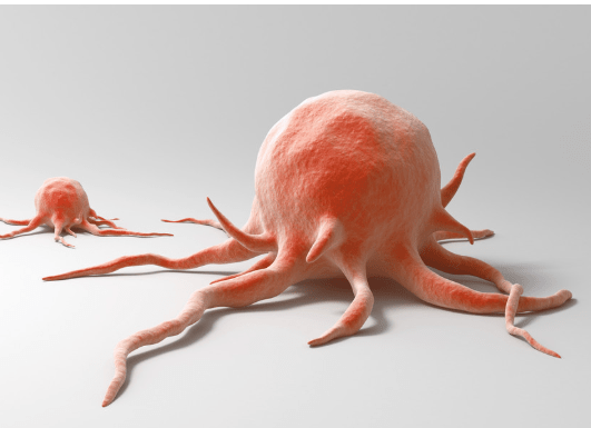 bed011958b5e4ee5b2c8e160d8bafe51.png