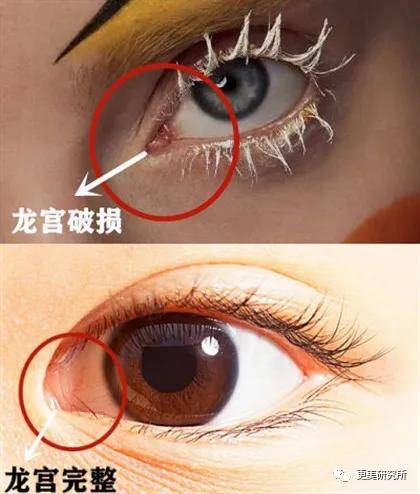 fa|向太逼生3胎,只因郭碧婷是绝对的豪门”多子脸”…