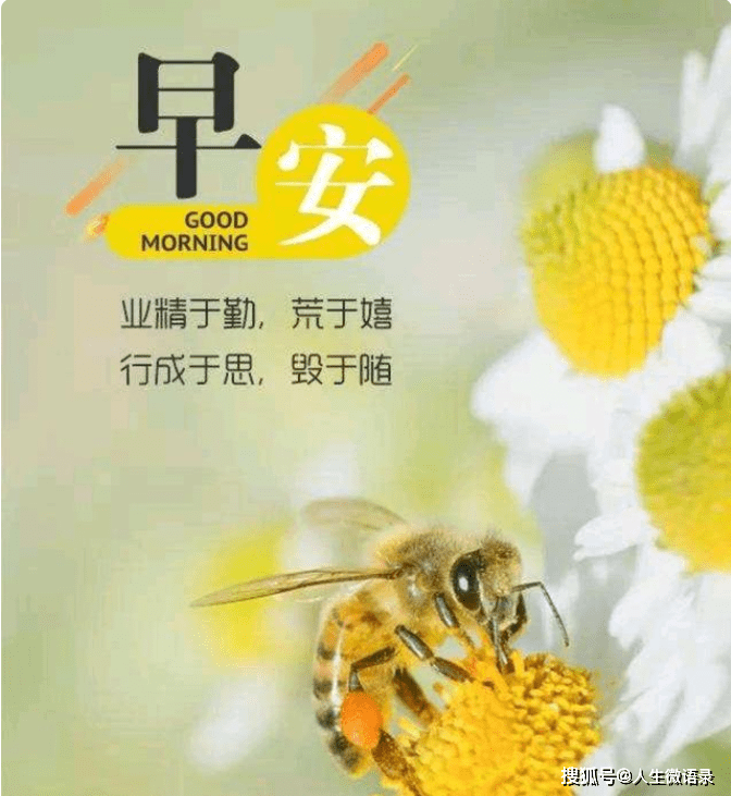 bb8131ea3307439e88b1d231dde77e37.png