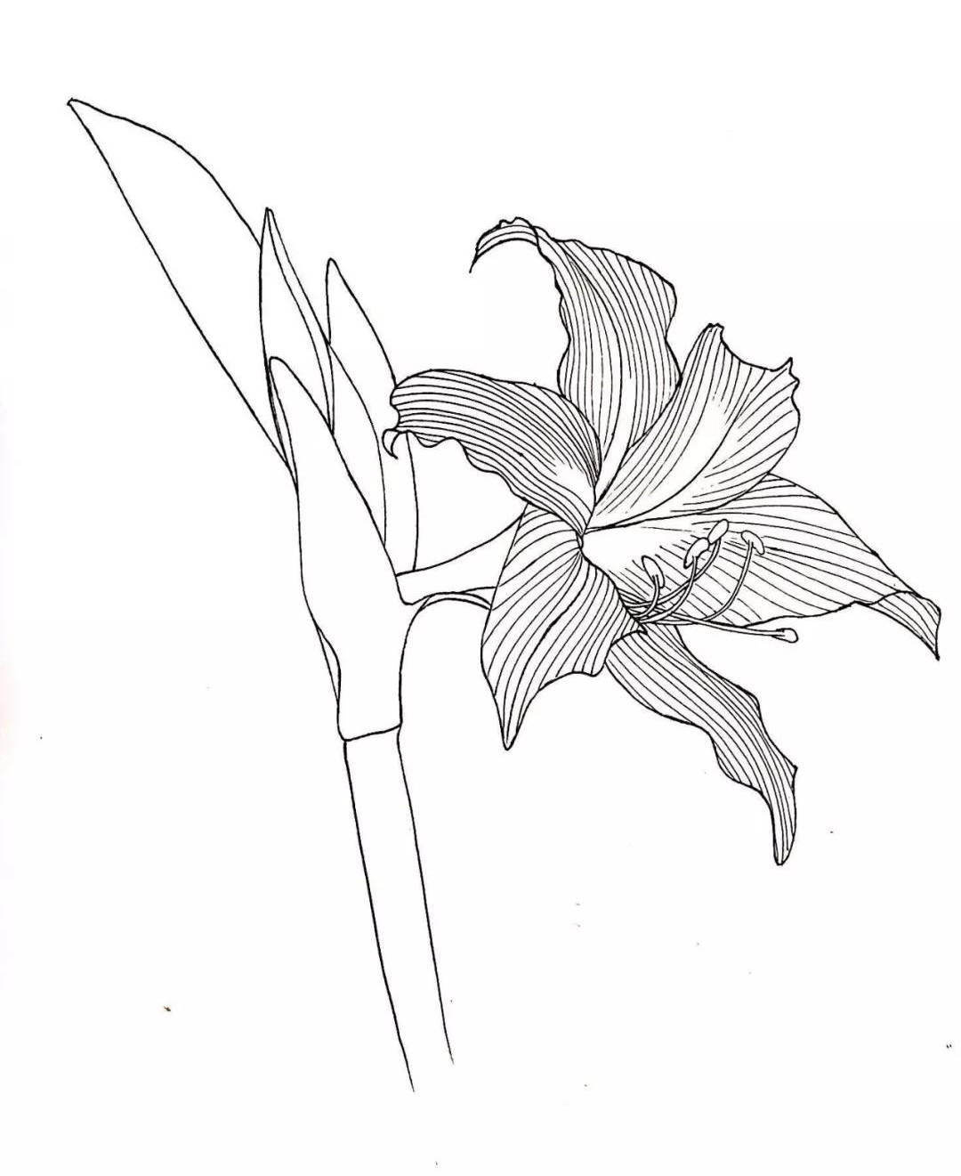 【推荐】铅笔画技法基础入门|铅笔画技法pdf百度云