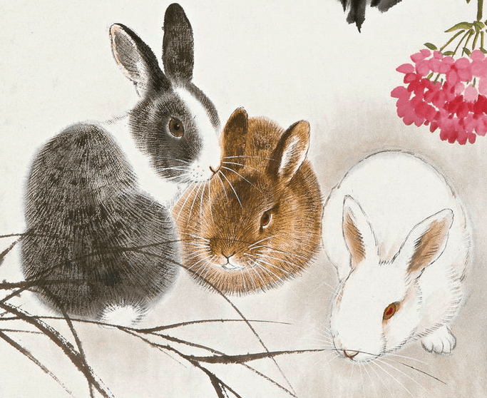 2020年5月手机安兔排名9_安兔兔发布:2020年5月Android手机性能榜