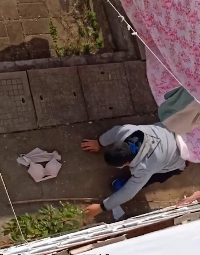 女宿舍晾晒的内衣_女宿舍阳台晾晒的内衣(3)