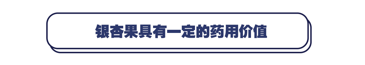 白果|秋冬银杏满街！专家提醒：果实有毒不要盲目食用