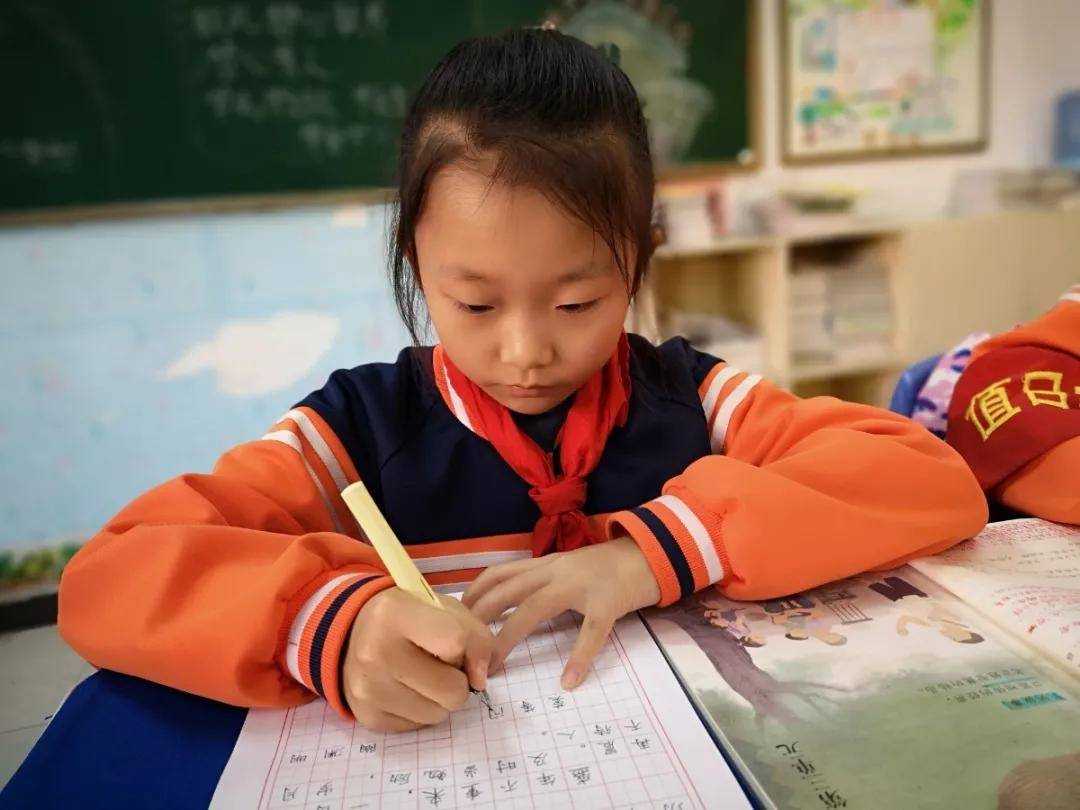 比赛|陕西师范大学奥林匹克花园学校小学部举行高段硬笔书写大赛