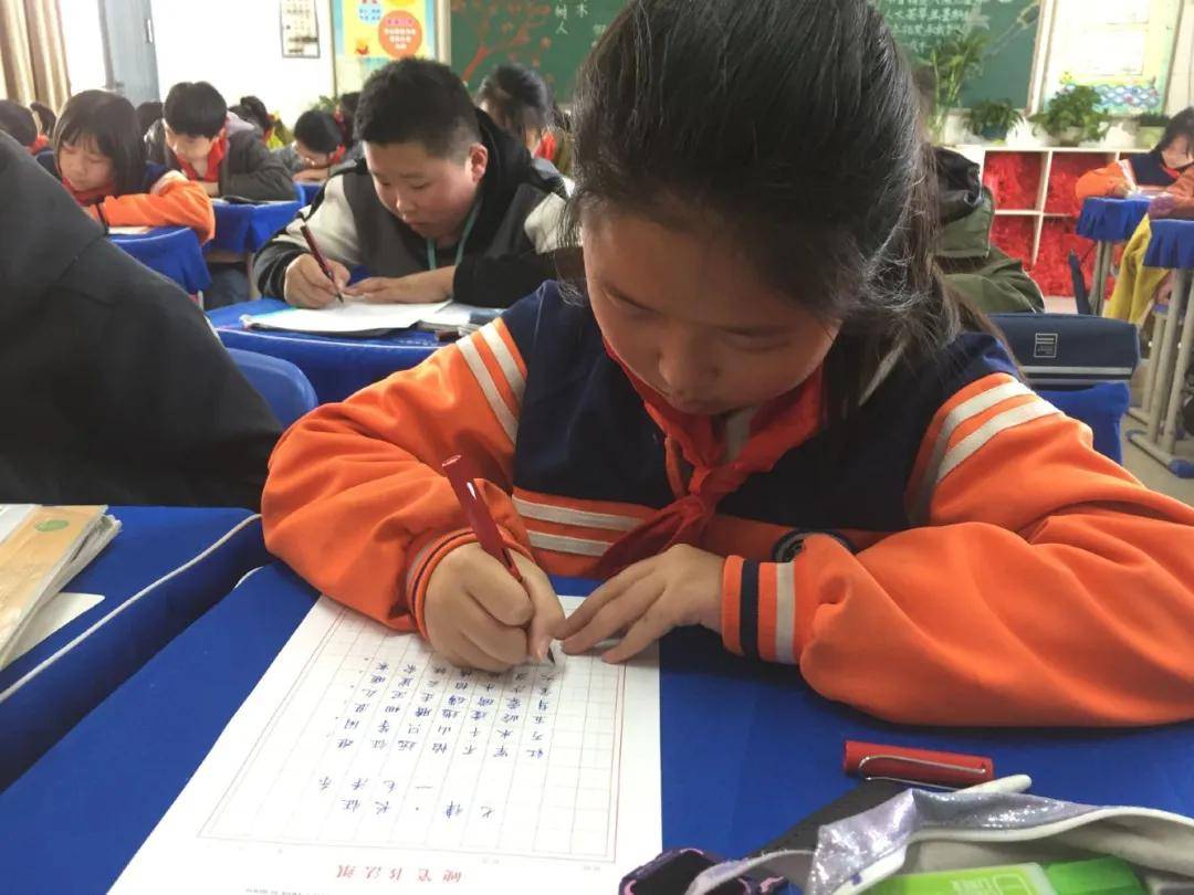 比赛|陕西师范大学奥林匹克花园学校小学部举行高段硬笔书写大赛