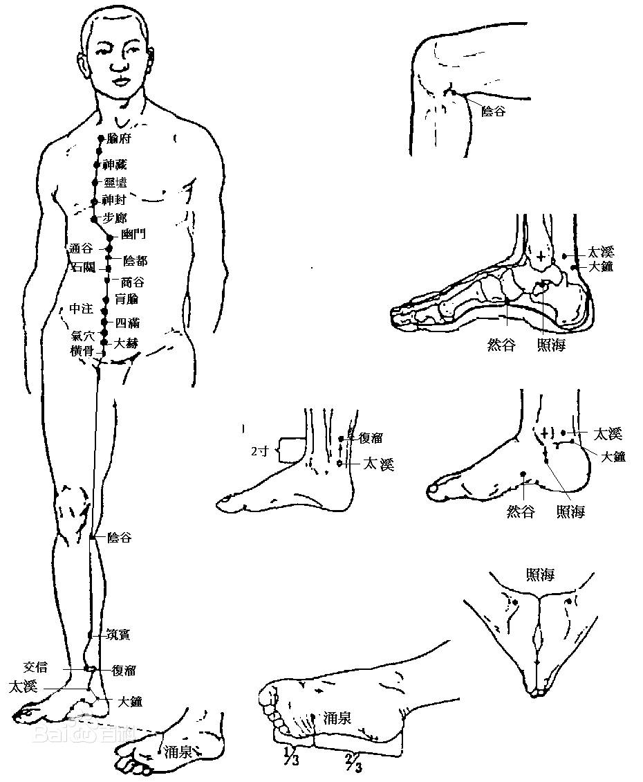 拉筋,拉伸腿上的大筋,脚底地筋,这根筋是循行在肝经上