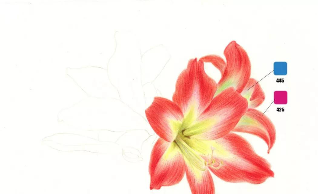 【推荐】彩铅花卉画详细教程图解|彩铅花卉手绘图片 简单步骤